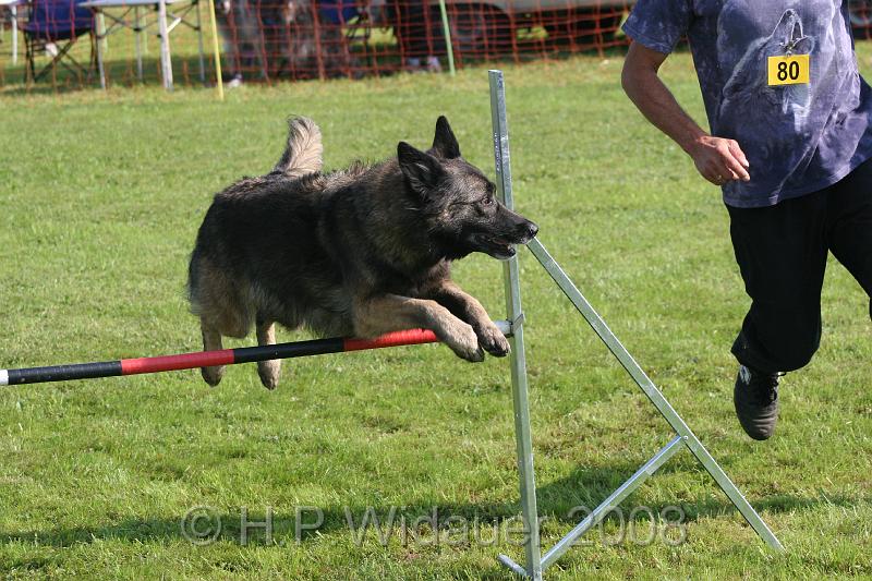 jubil.lusten. 107.jpg